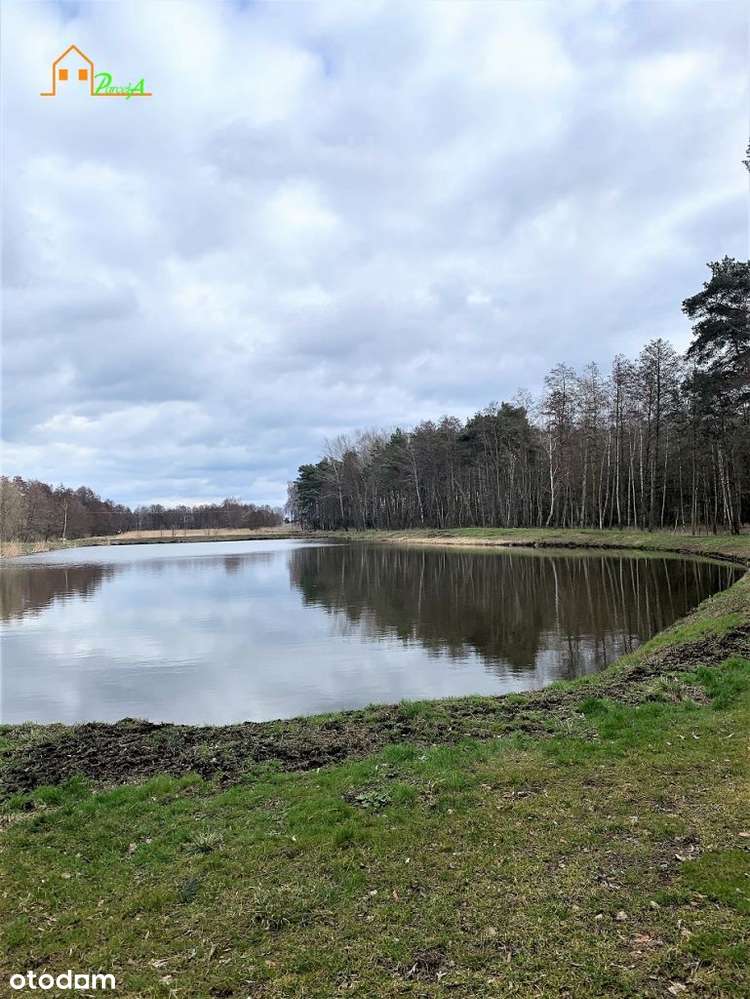 Działka 4,5 ha, trzy stawy - Pełny obrazek: 5/11