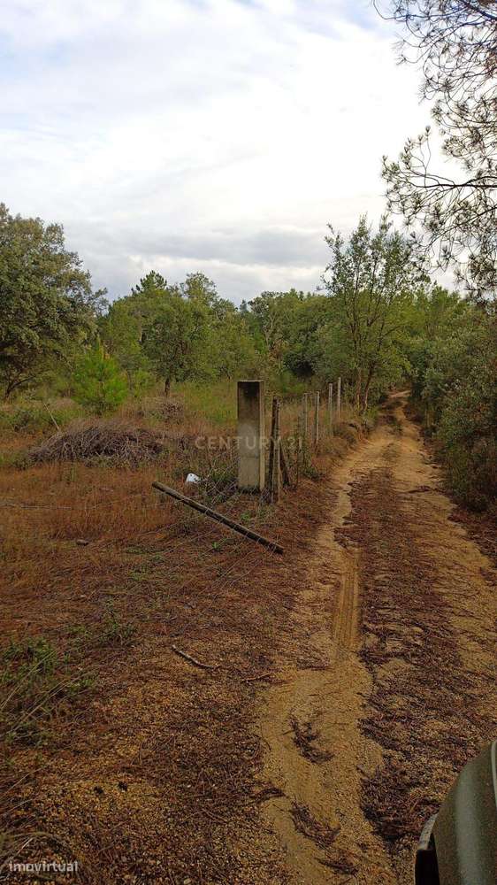 Terreno misto em Salgueiro do Campo, Castelo Branco - Grande imagem: 3/12
