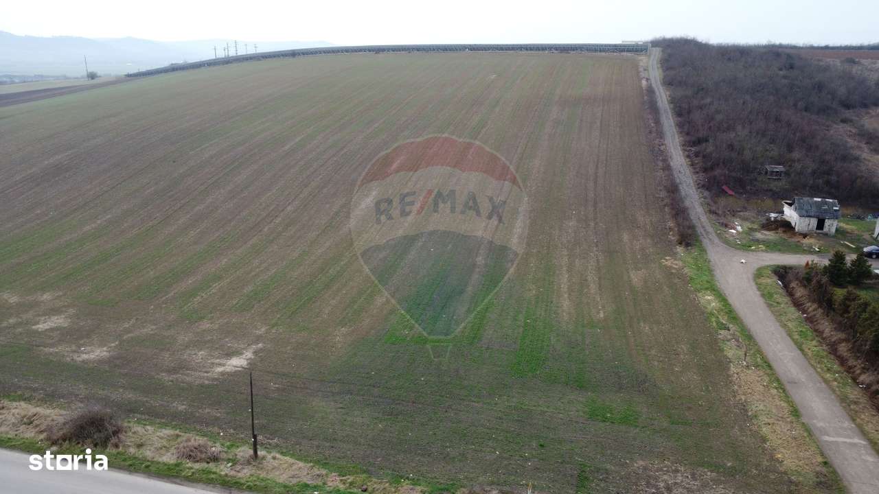 Teren de investiție 9800 mp.Luna de Jos. Acces direct din DJ161 - Imagine principală: 4/12