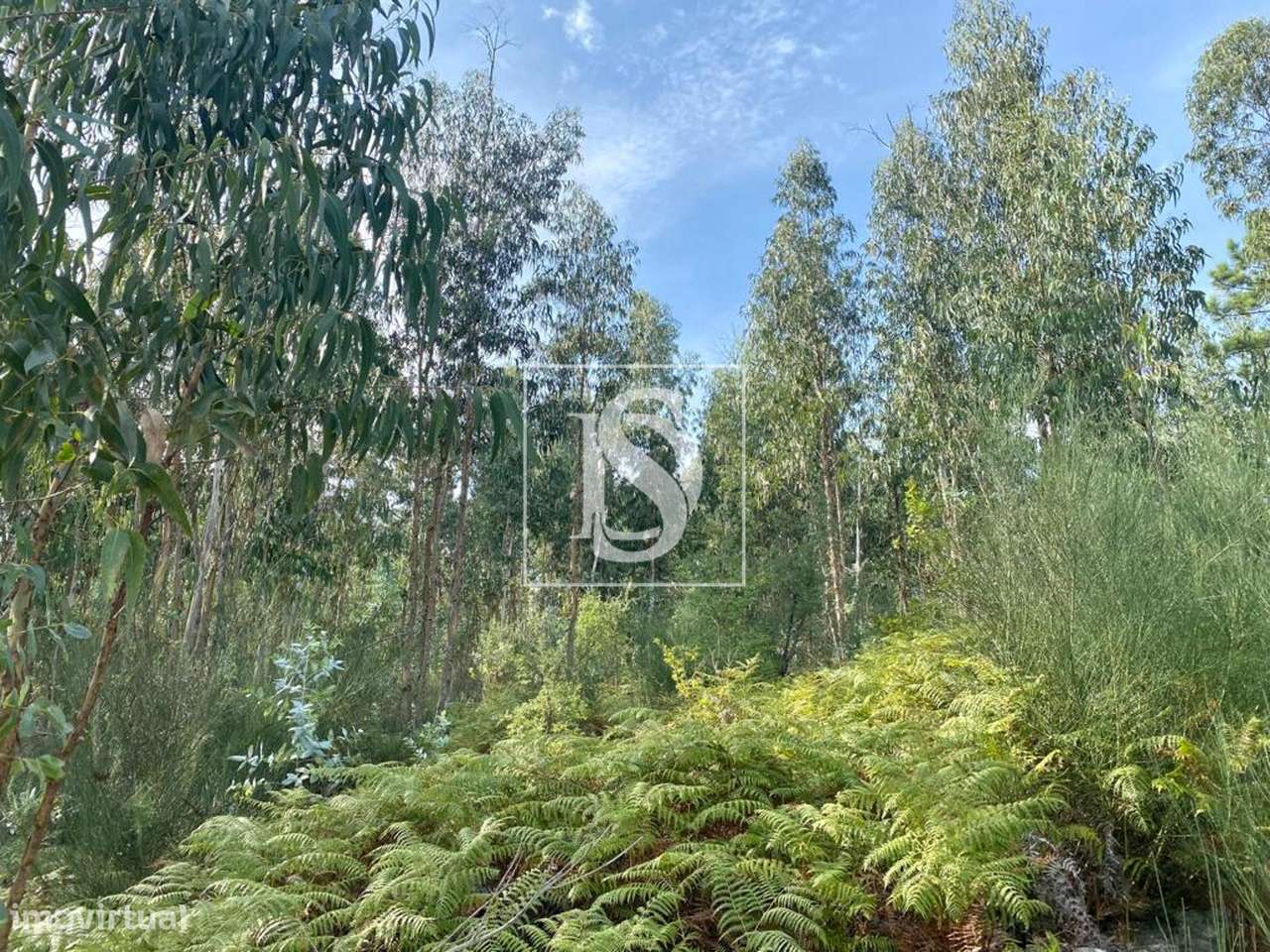 Terreno, Braga, Barcelos, Campo e Tamel (São Pedro Fins) - Grande imagem: 4/7