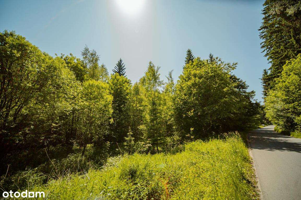 Działka budowlana z linią brzegową górskiego potoku-6