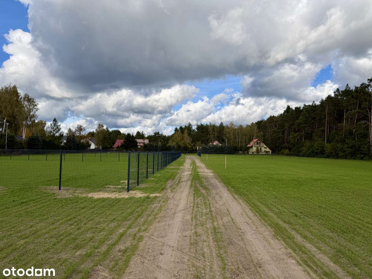 Działki przy jeziorze Lucieńskim i lesie państwowym-9