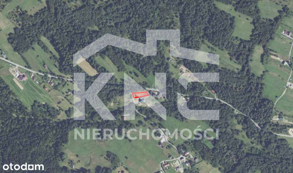 Działka przy lesie – Krzeszów – idealna pod domek! - Pełny obrazek: 5/6