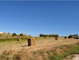 Terreno urbano Bárrio - Alcobaça