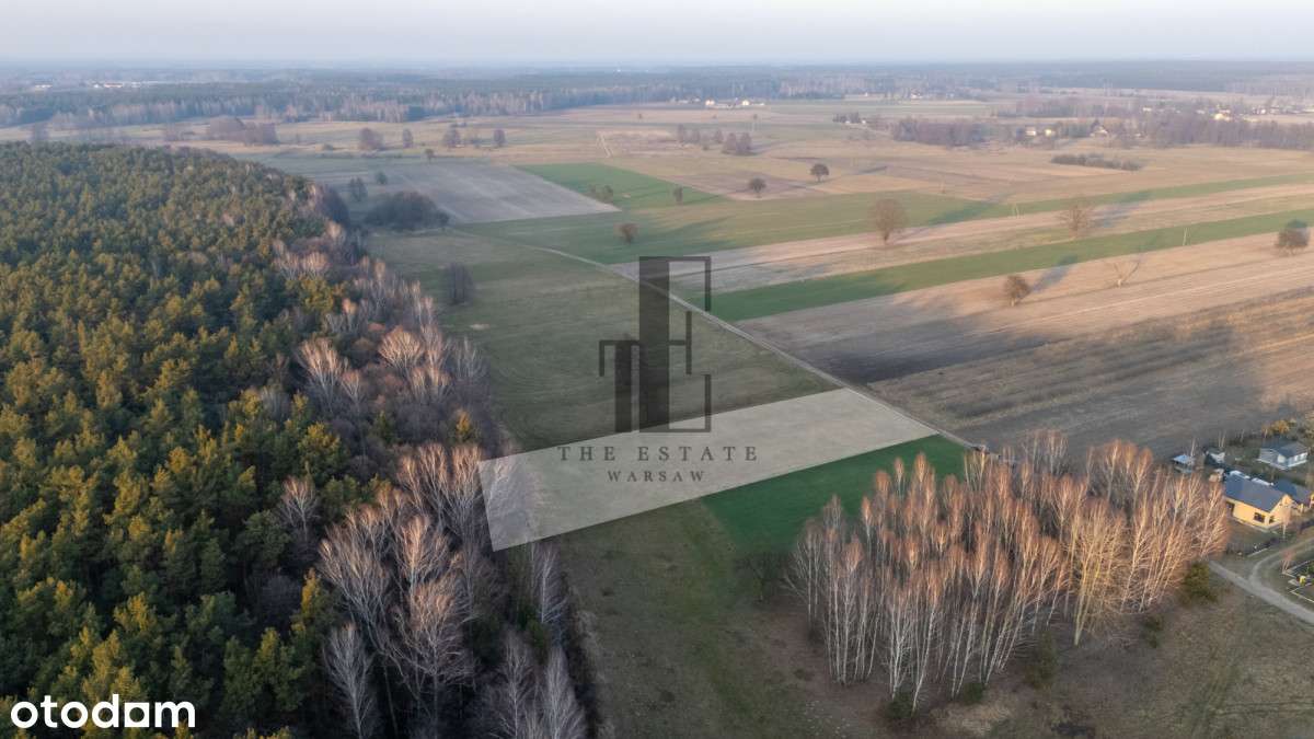 Na skraju lasu | Strumyk | Możliwe wz - Pełny obrazek: 4/4