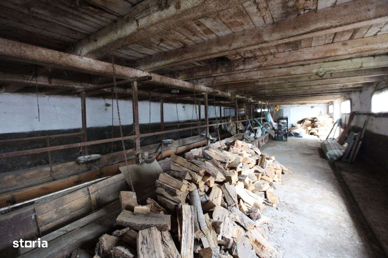 Abator complet functional cu grajduri pentru animale in Bod Colonie-11