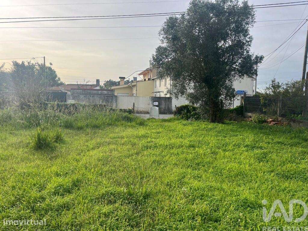 Terreno Agrícola em Ovar, São João, Arada e São Vicente de Pereira Jus - Grande imagem: 2/11