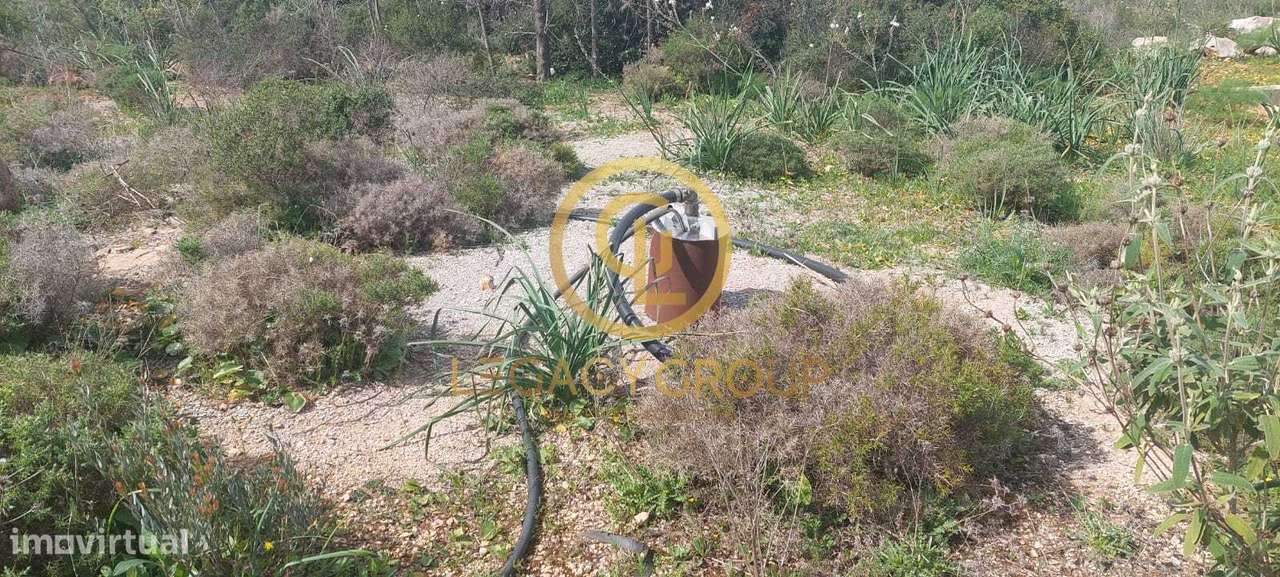 Terreno Rústico de 21790 m2 em Vale Verde – Guia, Algarve - Grande imagem: 4/39