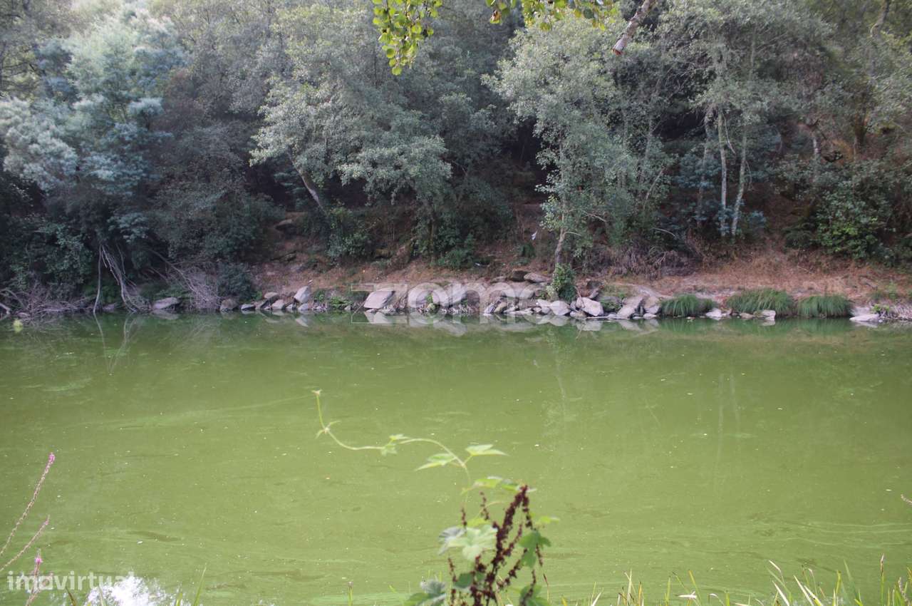 Terreno na margem do Rio Dão - Grande imagem: 4/23