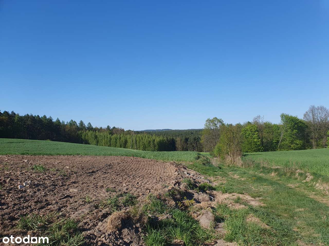 Działka z malowniczym widokiem - Pełny obrazek: 5/8