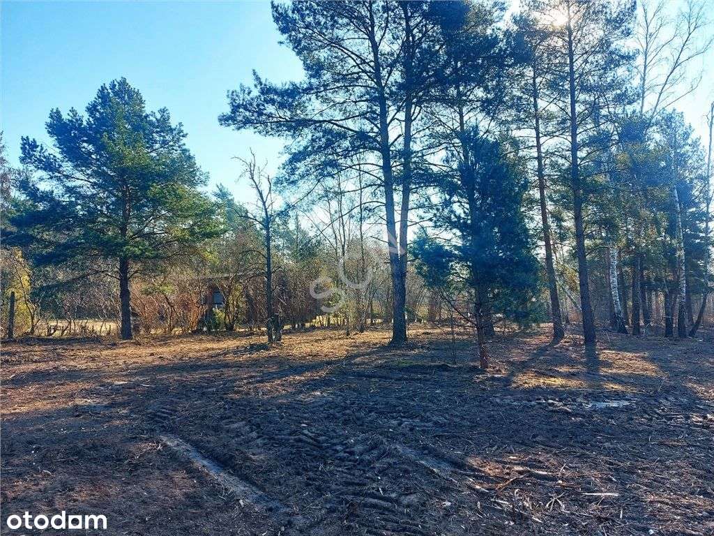 Józefow, Działka z Wz - Pełny obrazek: 4/6