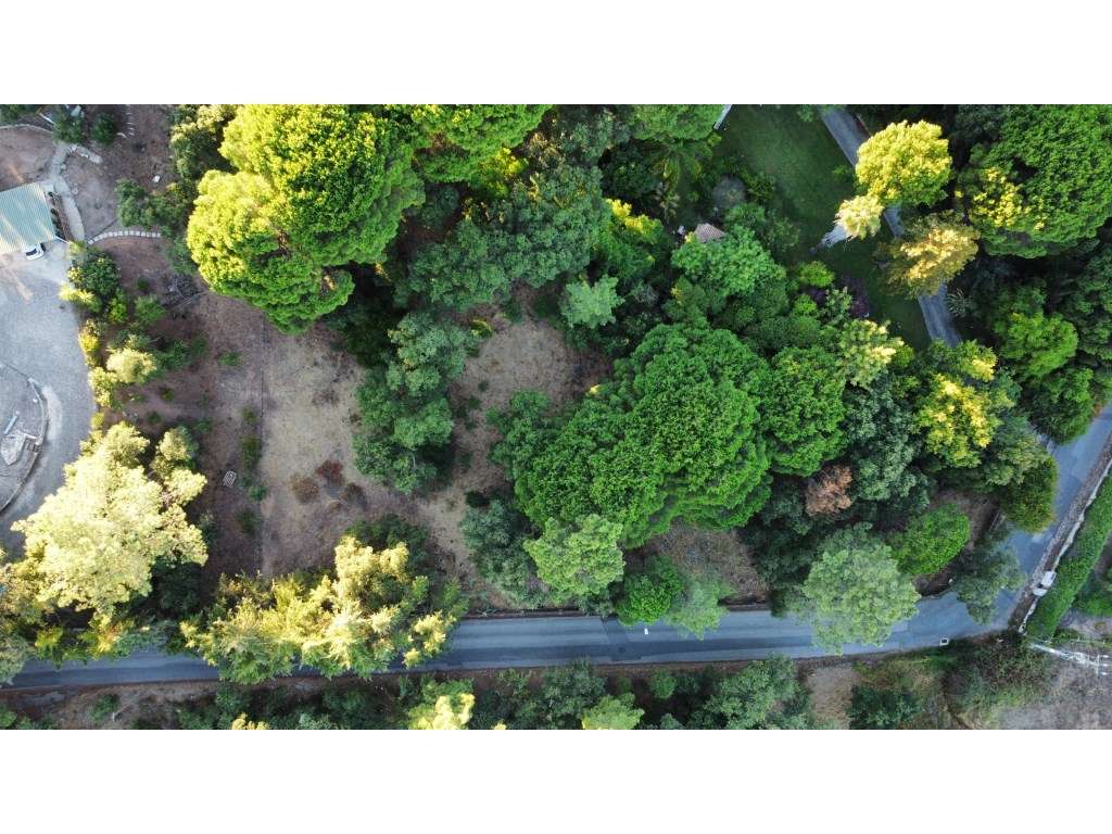 Lote para Construção em Miraventos - Vista Panorâmica sobre Setúbal... - Grande imagem: 3/28