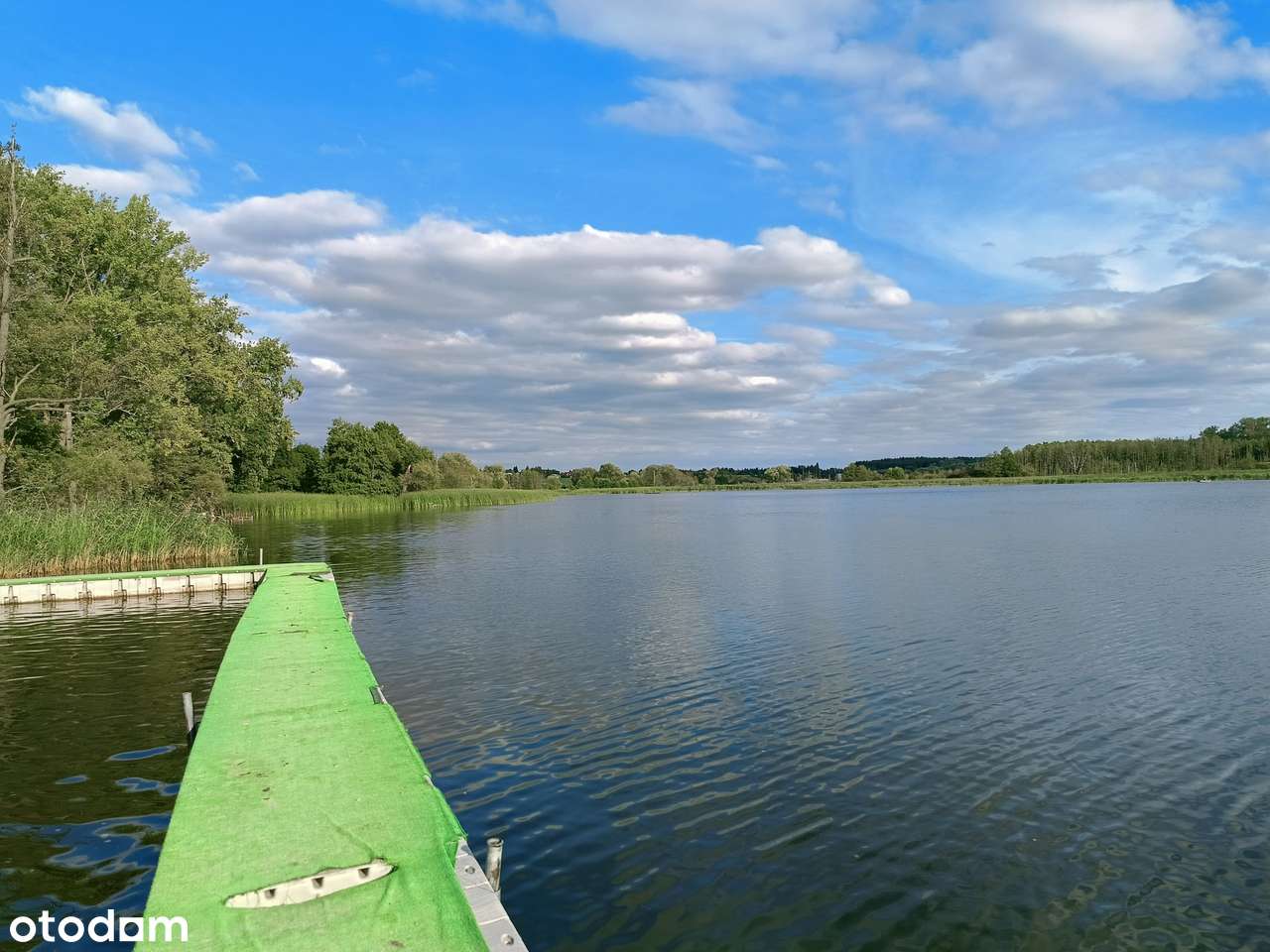 Lusówko - okolice planowanego zbiornika retencyjnego.-2