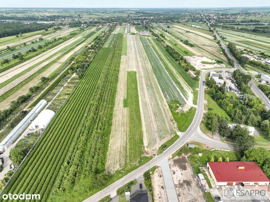 Teren Inwestycyjny-hala magazynowa, produkcja, biura,  obiekt handlowy-0