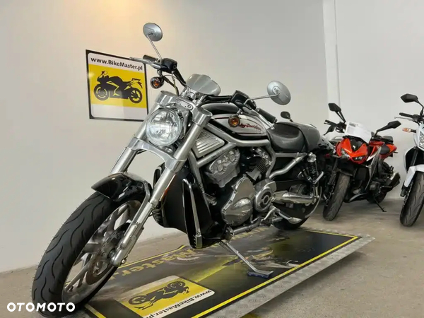 Harley-Davidson V-Rod Street Rod - 4