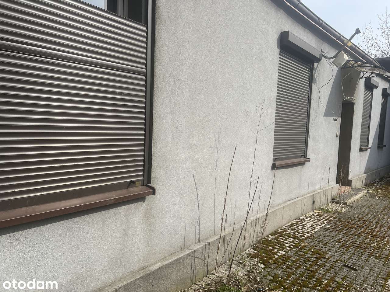 Czeladź nieduża kamienica naprzeciwko parku 150 m od UM-6