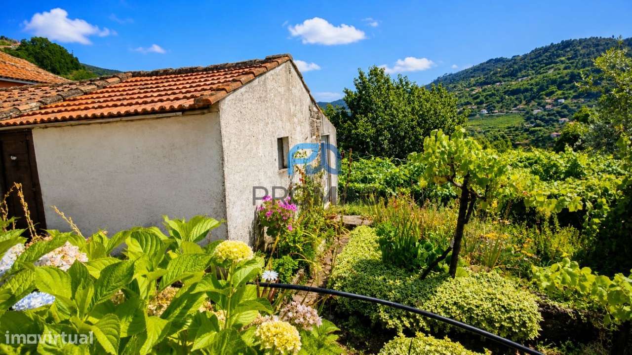 Quinta T6 em São Martinho de Mouros-42