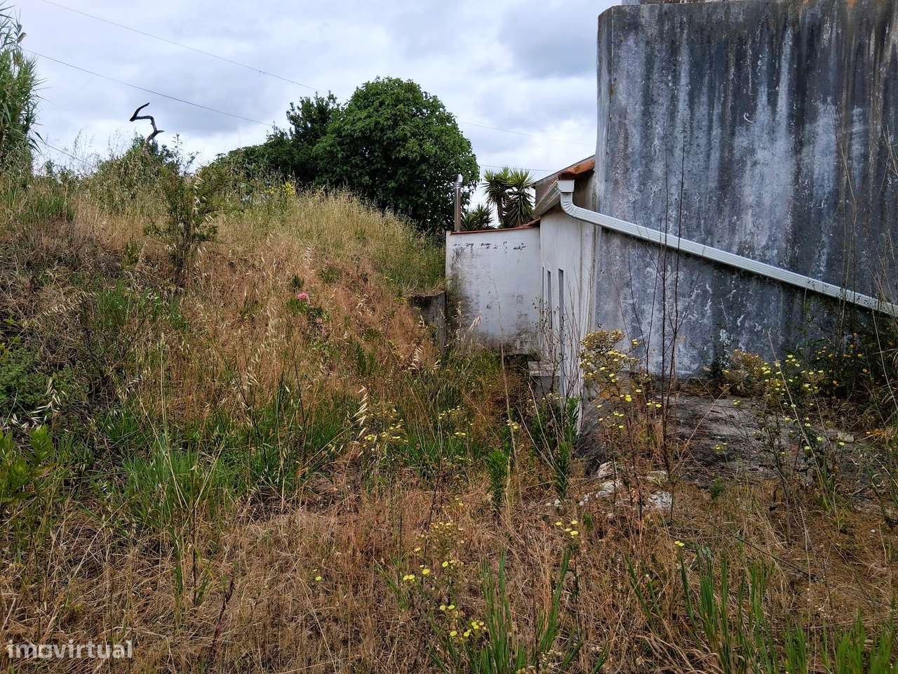 Terreno Rústico Agrícola com 5.017 m² | Casal Novo, Carapinheira-8