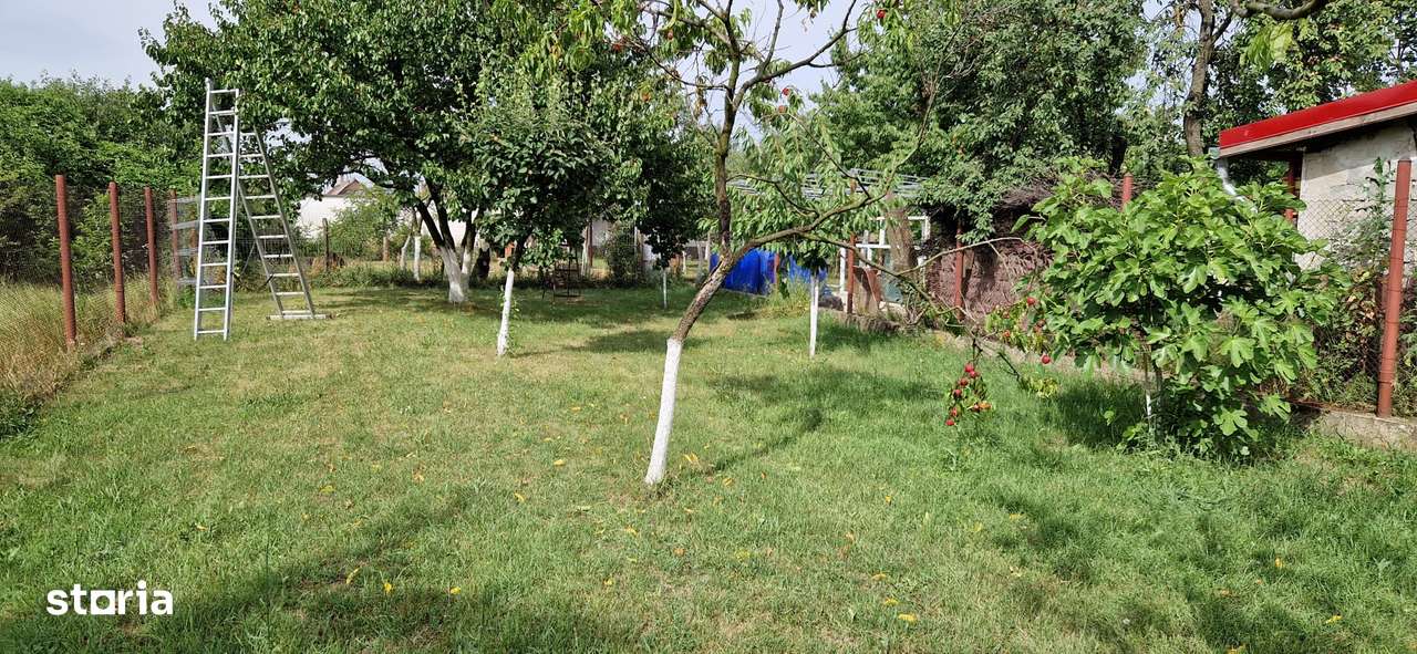 Casa Sannicolau Mic-11