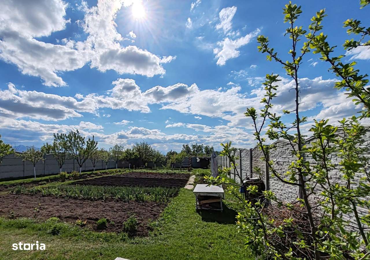 Lot pentru  casă - Imagine principală: 4/5