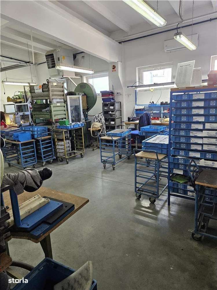 Exclusivitate - Proprietate Industriala De Vanzare - Productie - Depoz-11