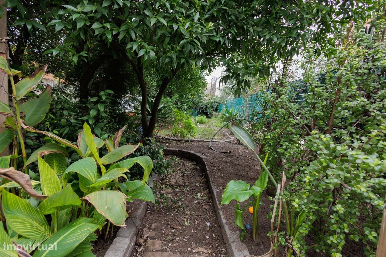 Moradia T1 com Anexo | Lote de 384 m2 | Baixa da Banheira-19