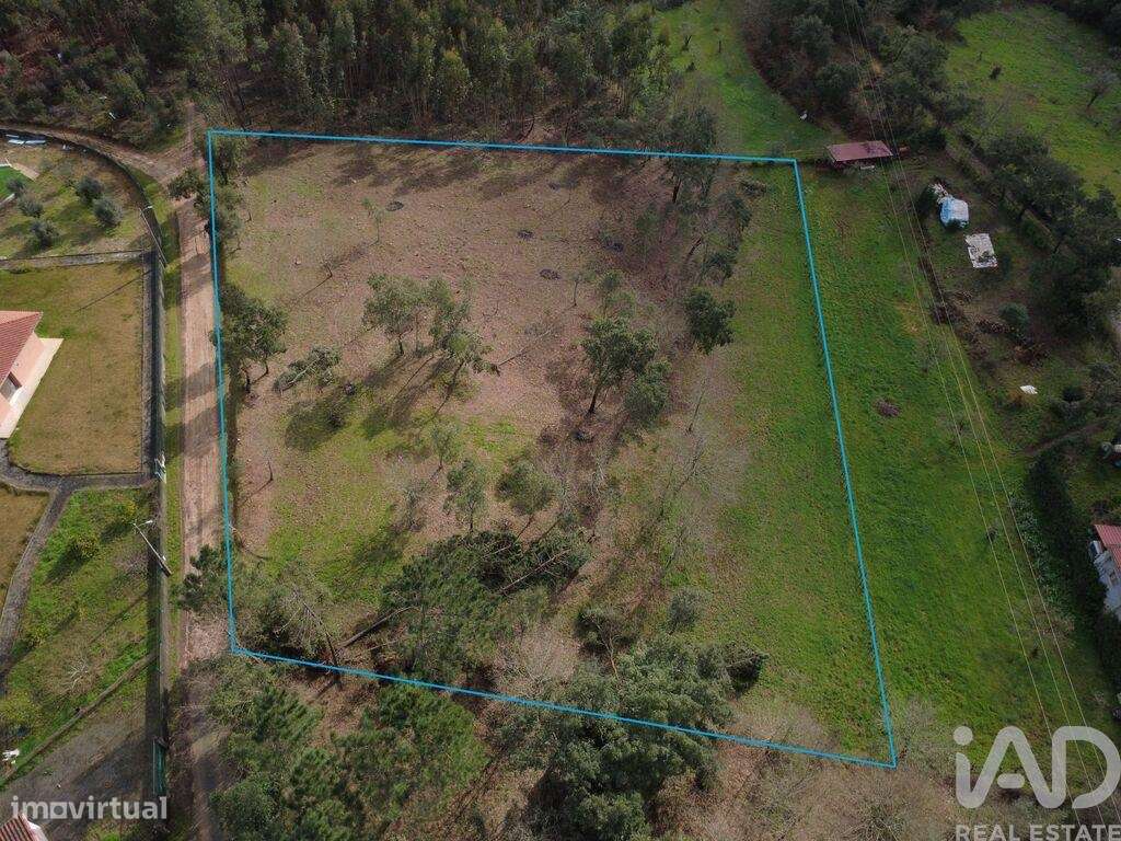 Terreno para construção em Poiares - Grande imagem: 5/40