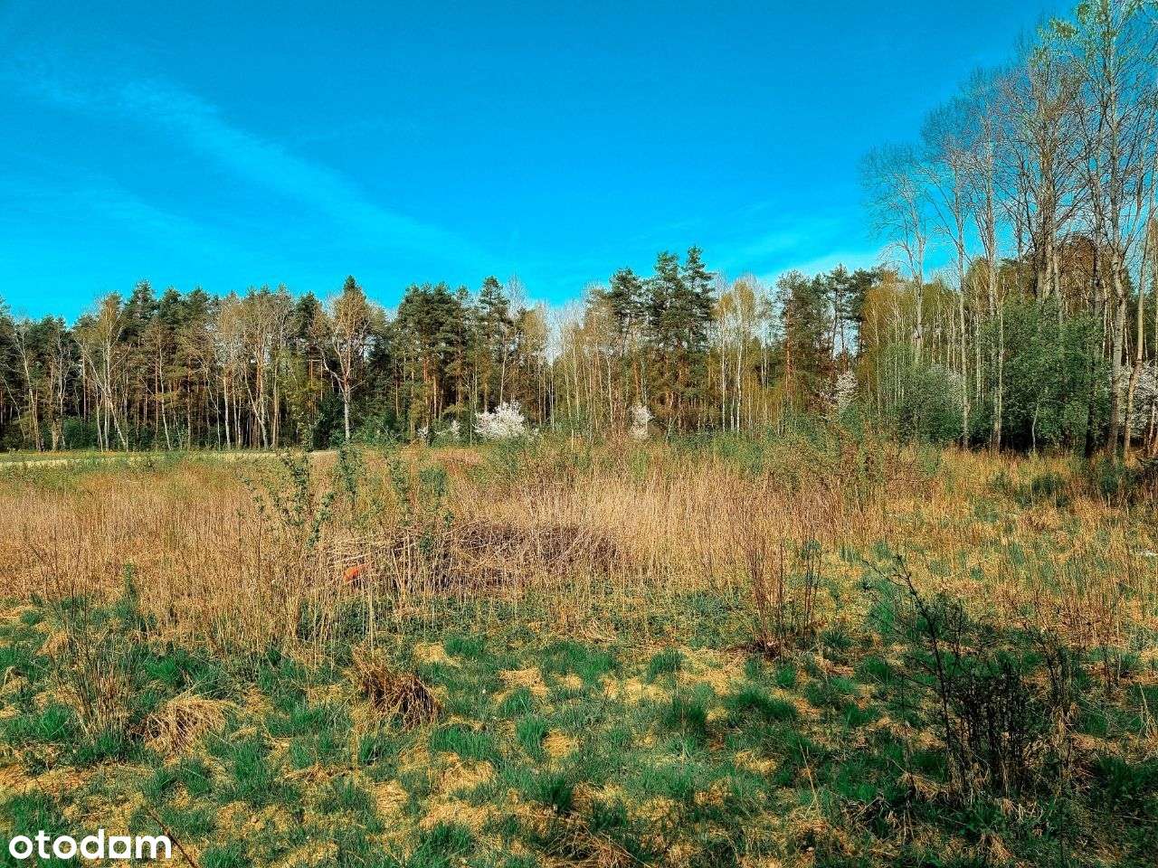 Działka siedliskowa w Zabłudowie. - Pełny obrazek: 5/8