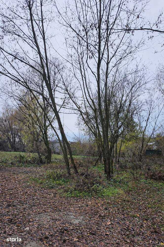 Viforata Dâmbovița, vânzare teren intravilan-0