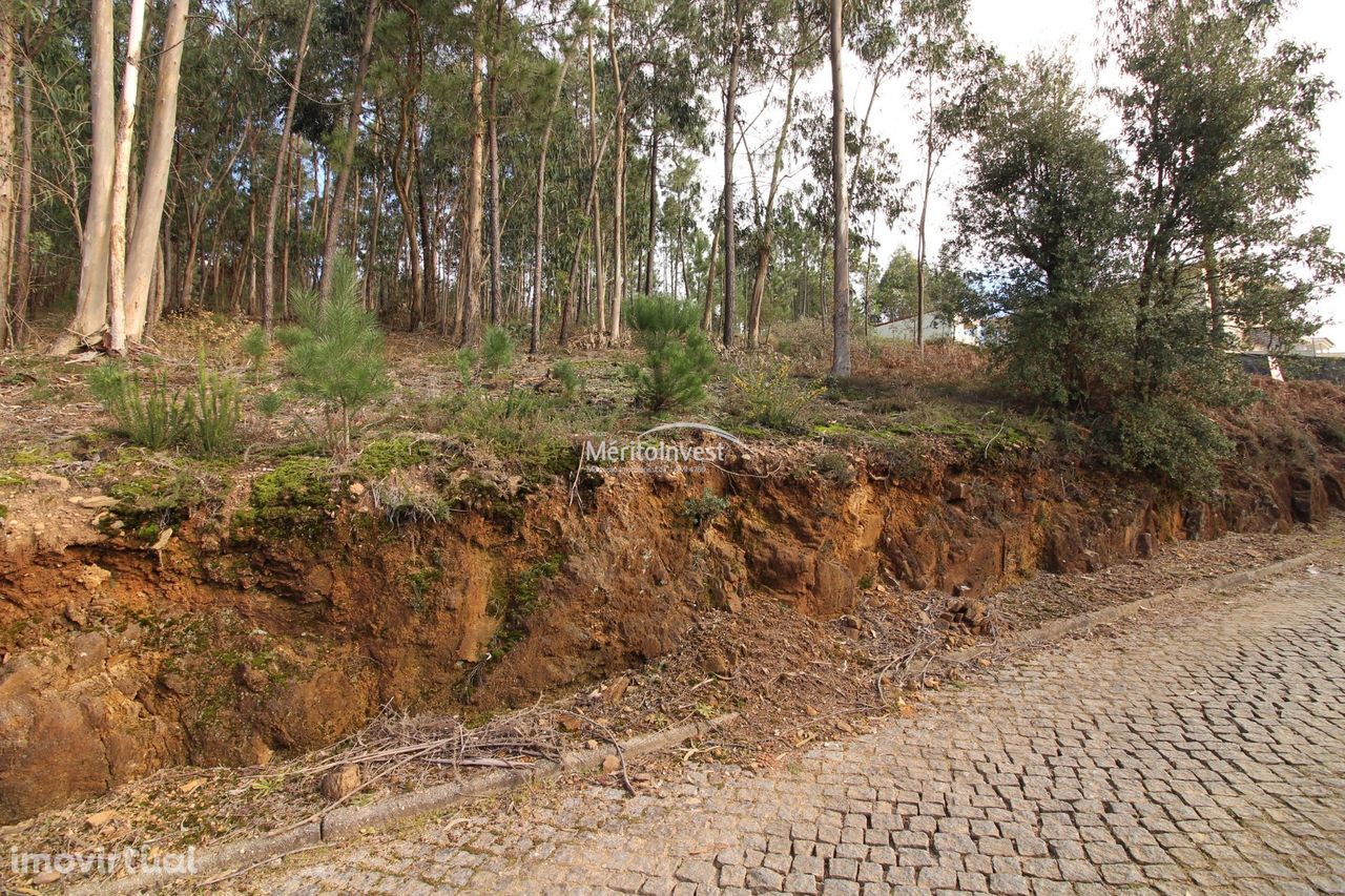 Terreno de construção às portas de Barcelos