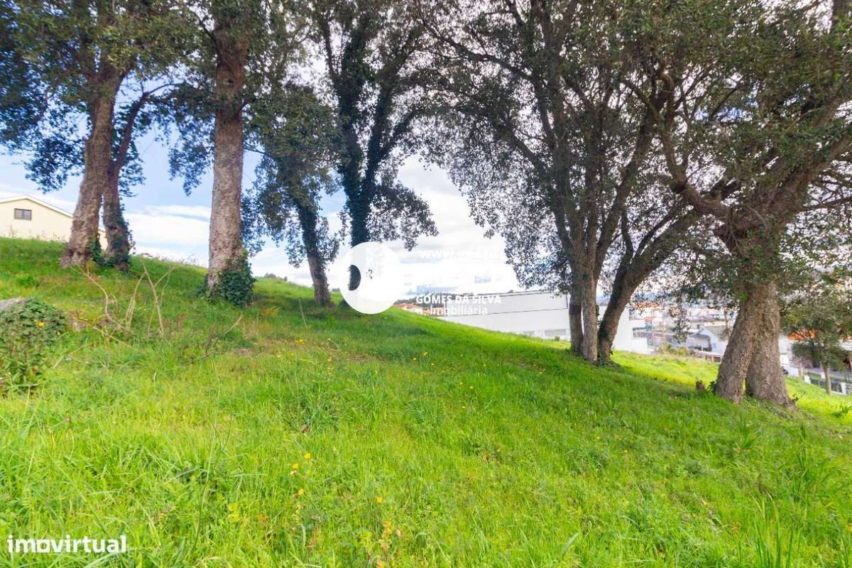 Terreno de 4.000m² em Aveleda – Oportunidade de Construção - Grande imagem: 4/24