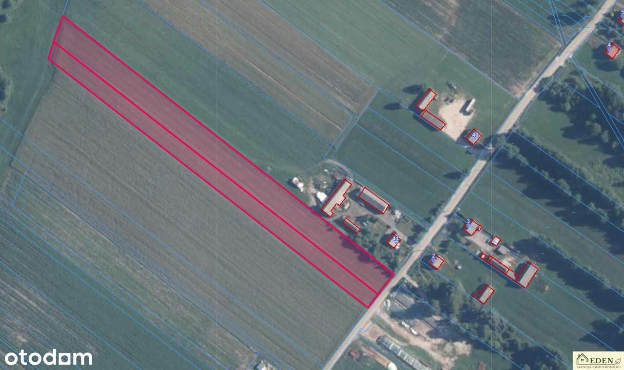 Działka bud.-rolna 1,68 ha o dużym potencjale, Karwów, gm. Trzebieszów-1