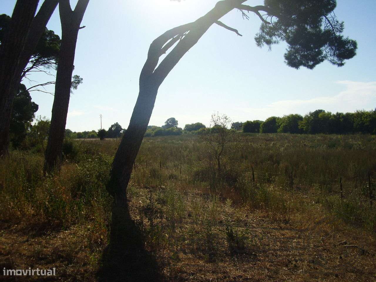 Terreno no Escaroupim (S287) - Grande imagem: 5/7