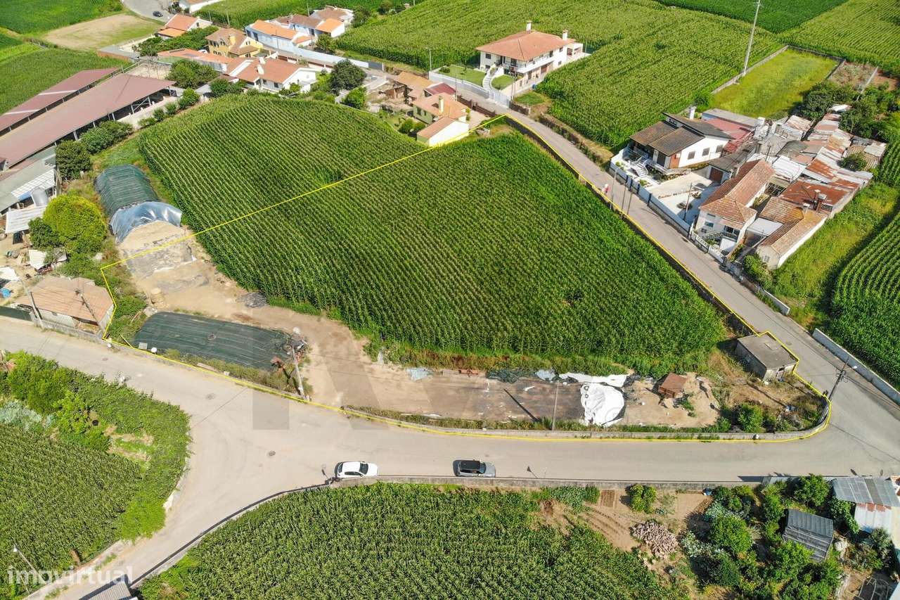 Terreno com Elevado Potencial para Investimento – Avanca, Estarreja-10