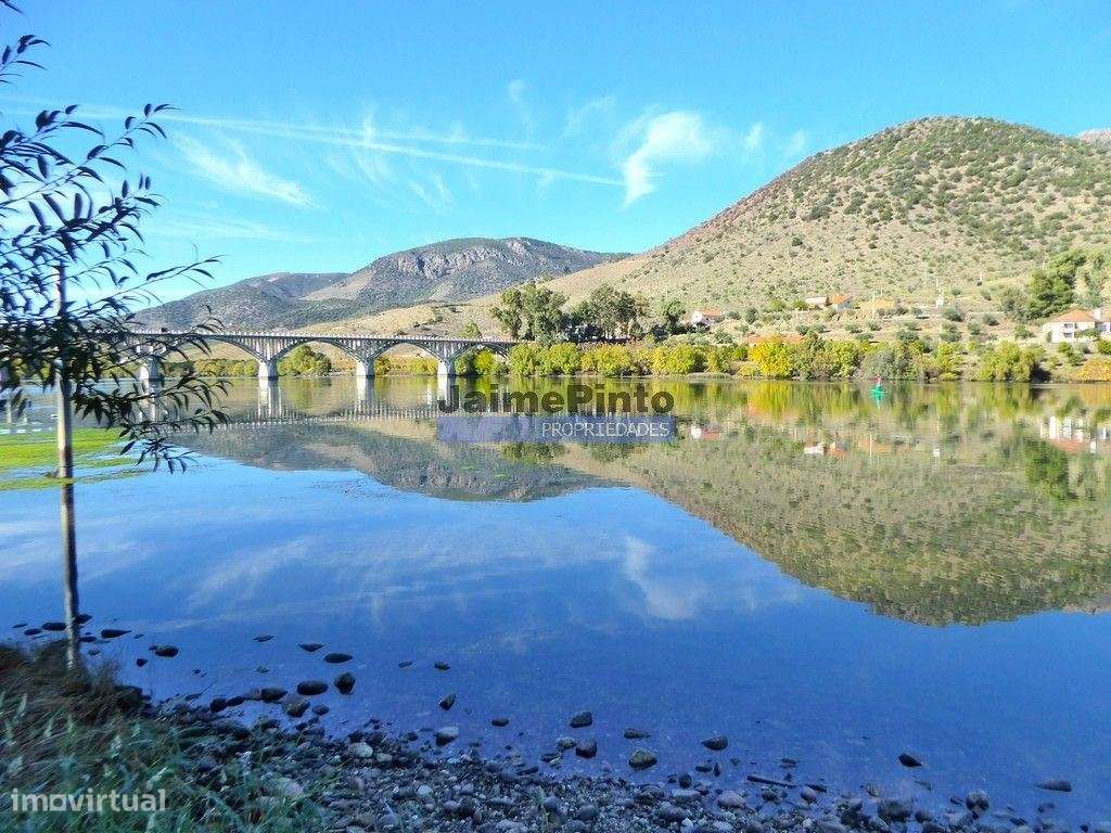 Olival de 100ha. Portugal, Barca DAlva.-8