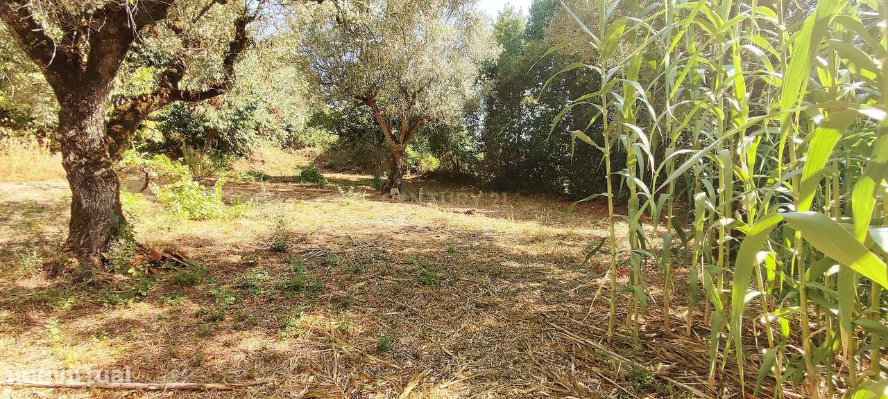 Terreno para construção de moradia em Geria, às portas da cidade de Co - Grande imagem: 4/7