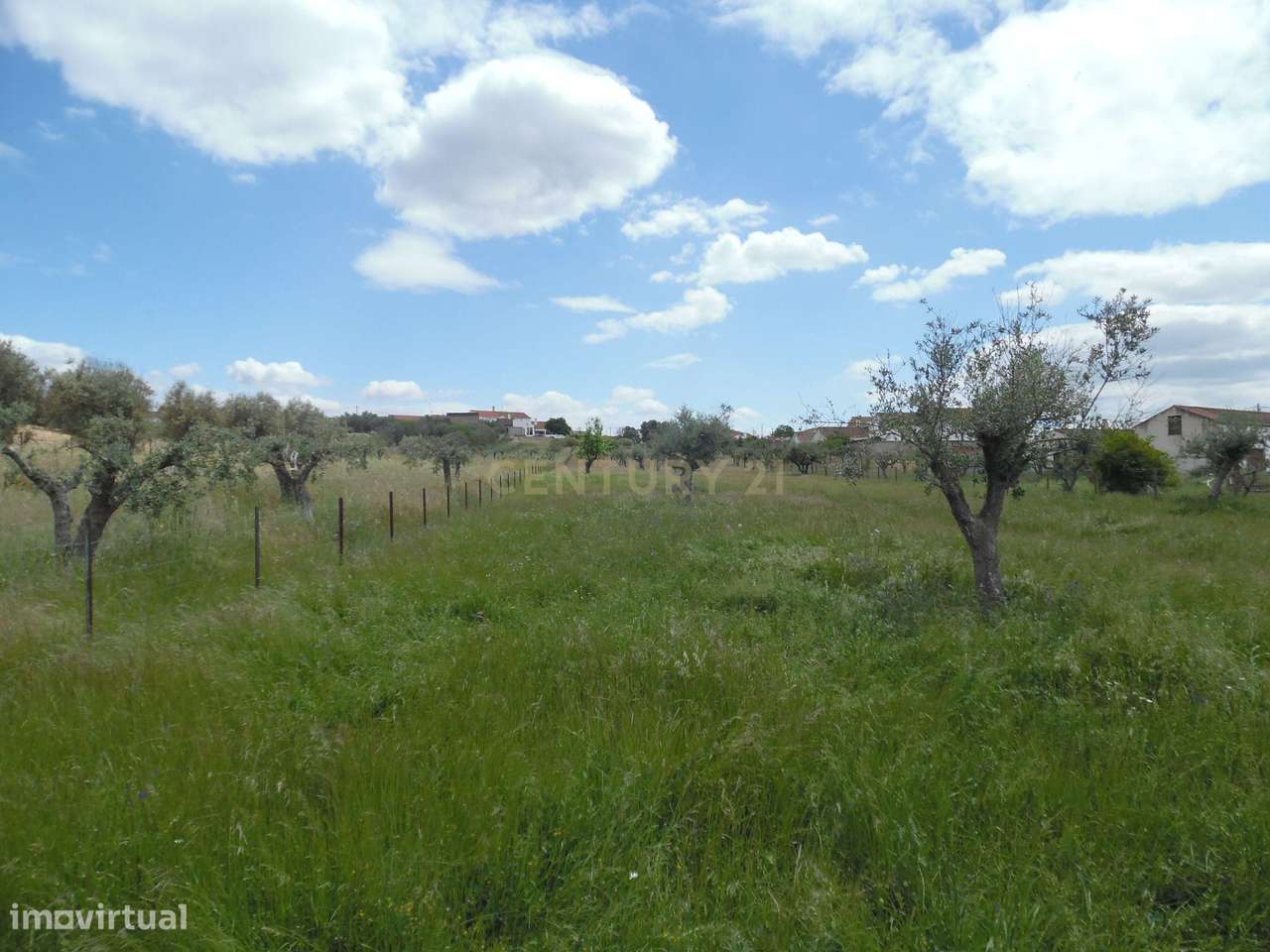 Quinta em Capelins,  Alandroal - Évora,  Oportunidade Única-57