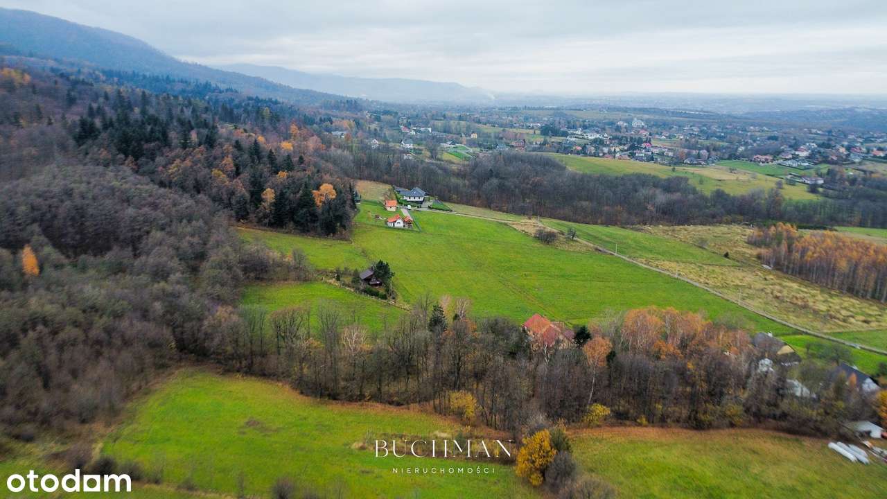 87 ar + Domek pod lasem z możliwością rozbudowy  - BEZ Prowizji-15
