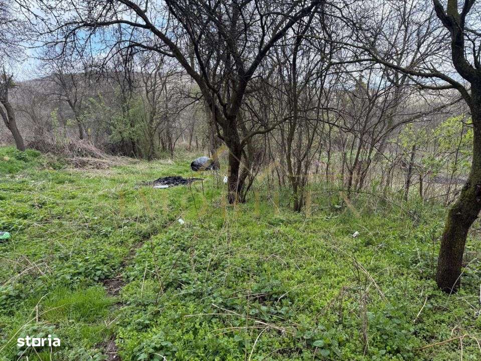 Teren 2400 mp , pretabil constructie casa, Ciurila - Imagine principală: 2/3