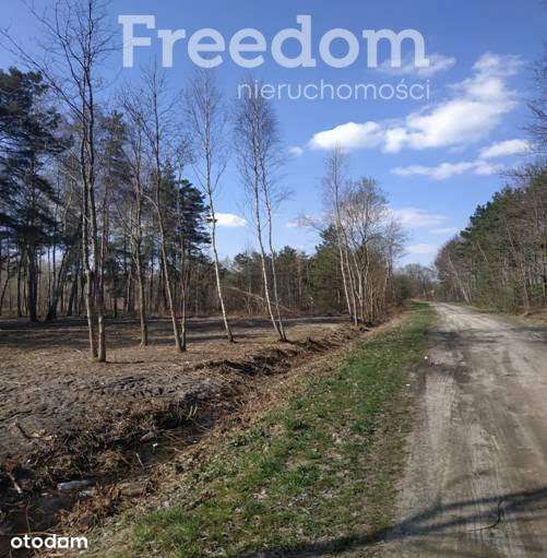 Działka budowlana 3000m2 Ludwików - Pełny obrazek: 3/8