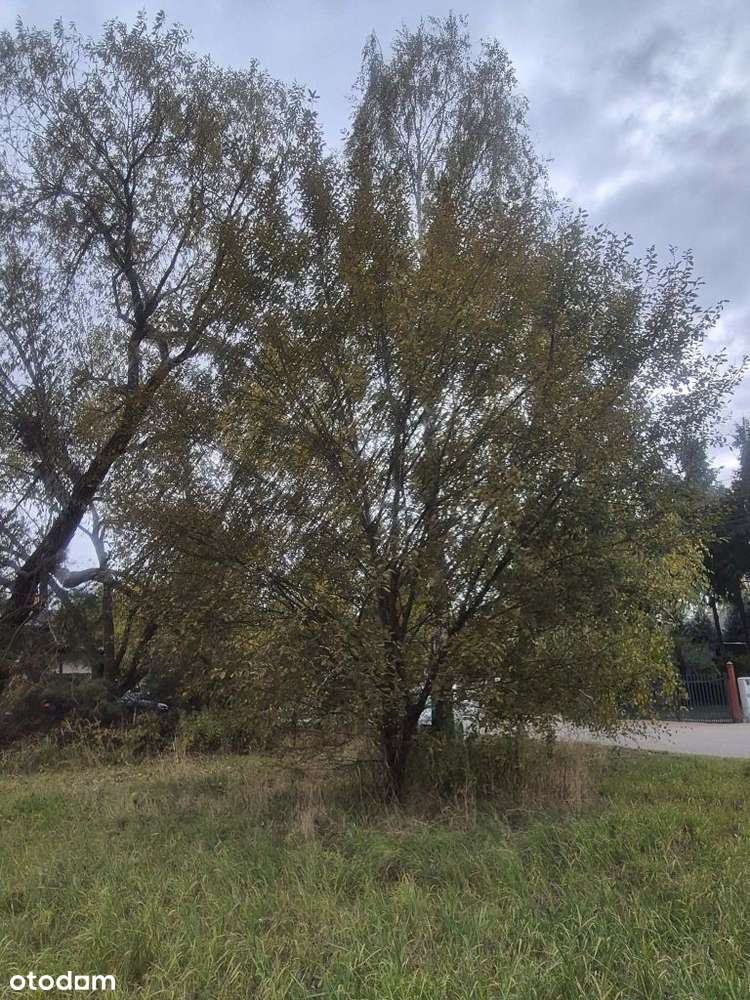 Działka budowlana w Wilanowie — ul. Zakamarek-3