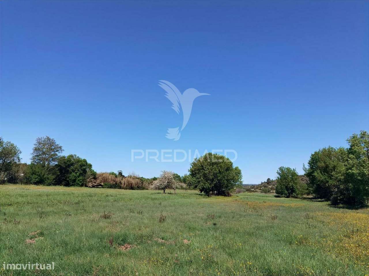 Terreno rústico, Arneiro das Milhariças - Grande imagem: 4/20