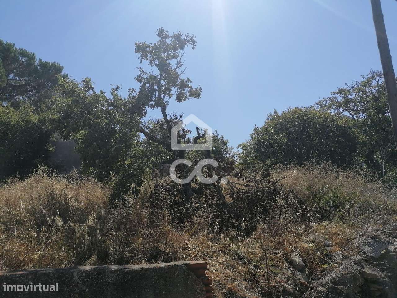Terreno Urbanizável com 2.160 m², em Reguengo Grande, Lourinhã-13