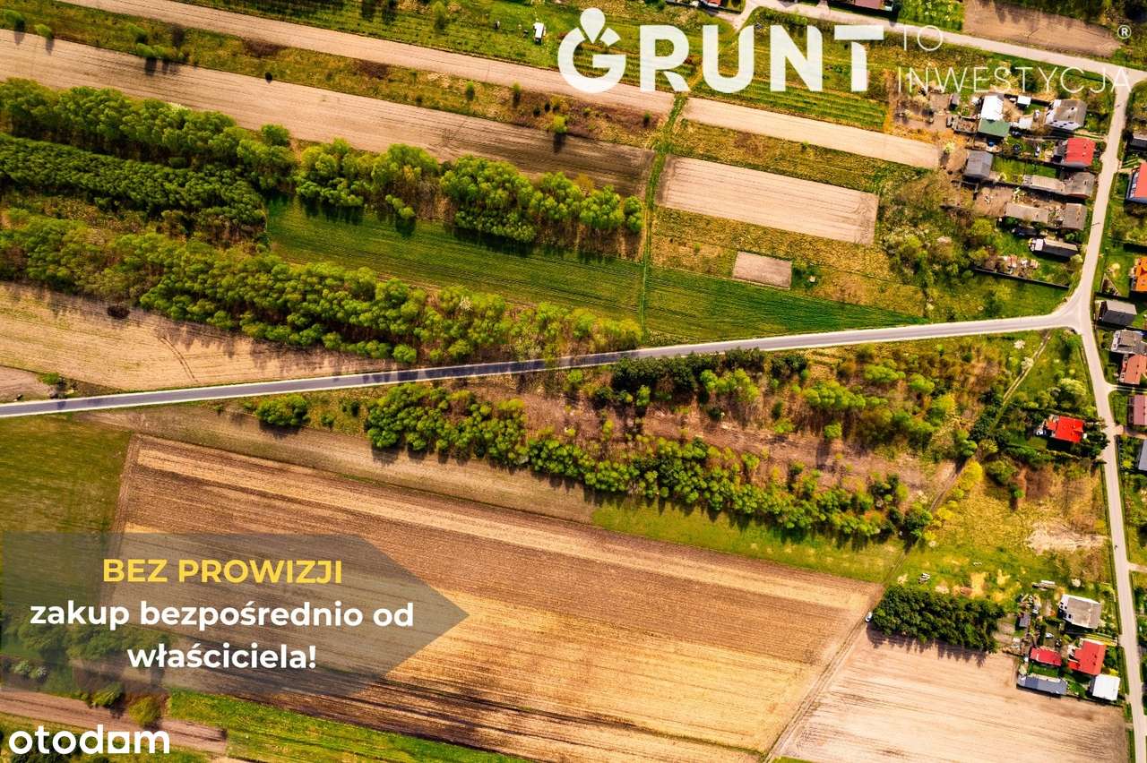 Działki w sąsiedztwie zadrzewień - Pełny obrazek: 4/12