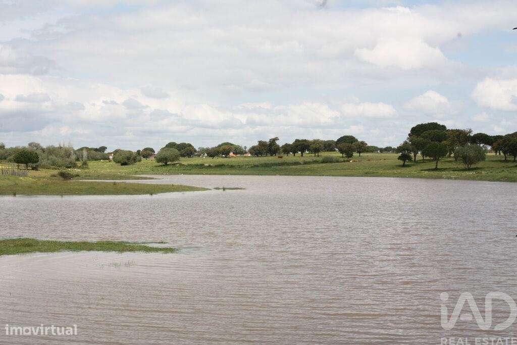 Terreno para construção T8 em Poceirão e Marateca de 19000,00 m2 - Grande imagem: 4/30