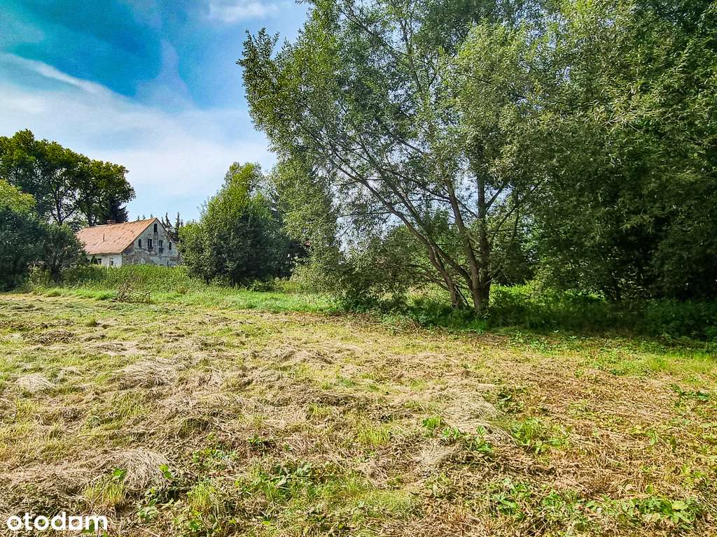 Zaciszna działka w Starym Wielisławiu-13