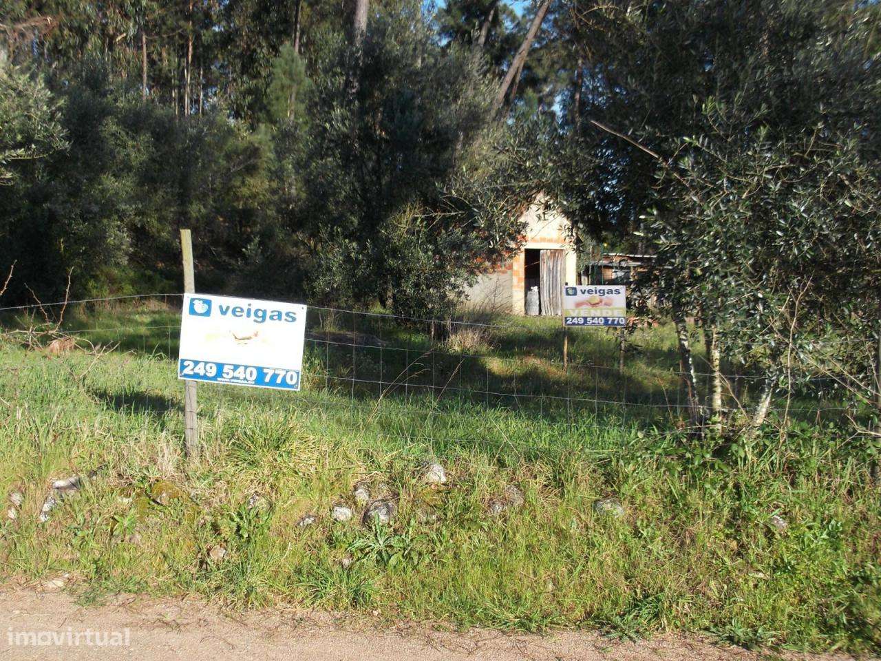 Excelente terreno para construção - Grande imagem: 4/4