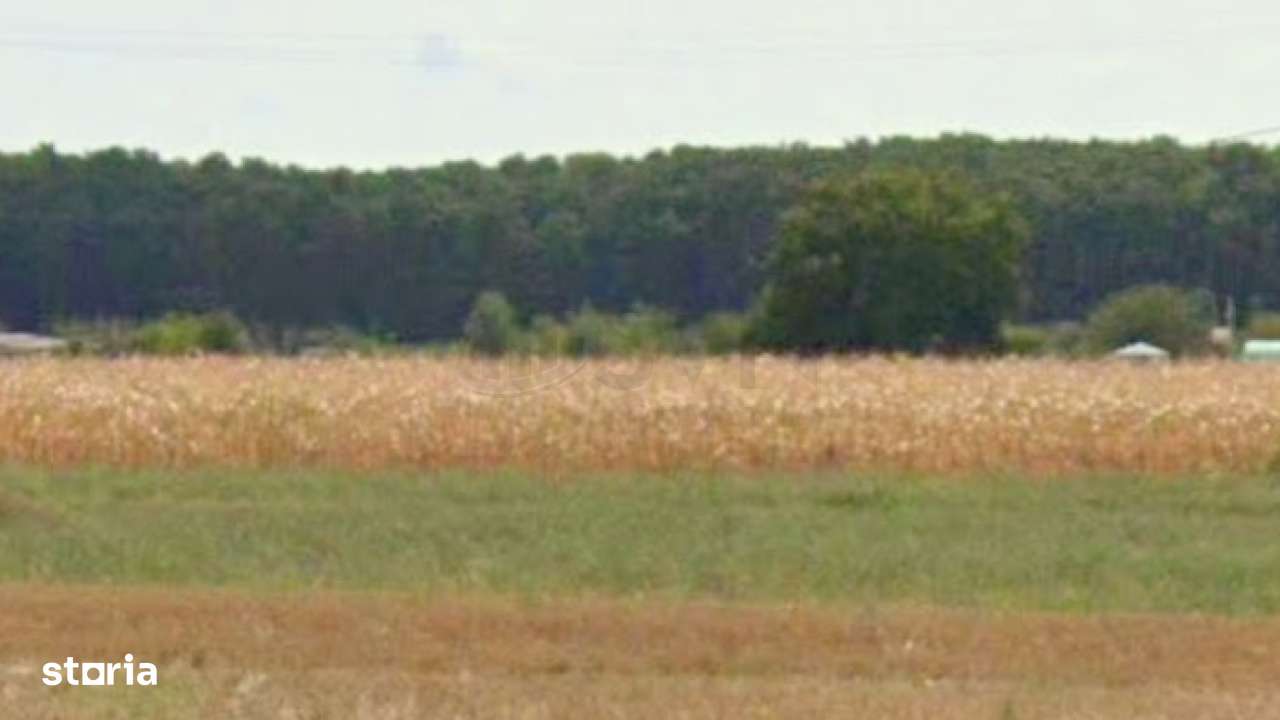 Teren Intravilan Snagov l Oportunitate Investitie - Imagine principală: 4/4