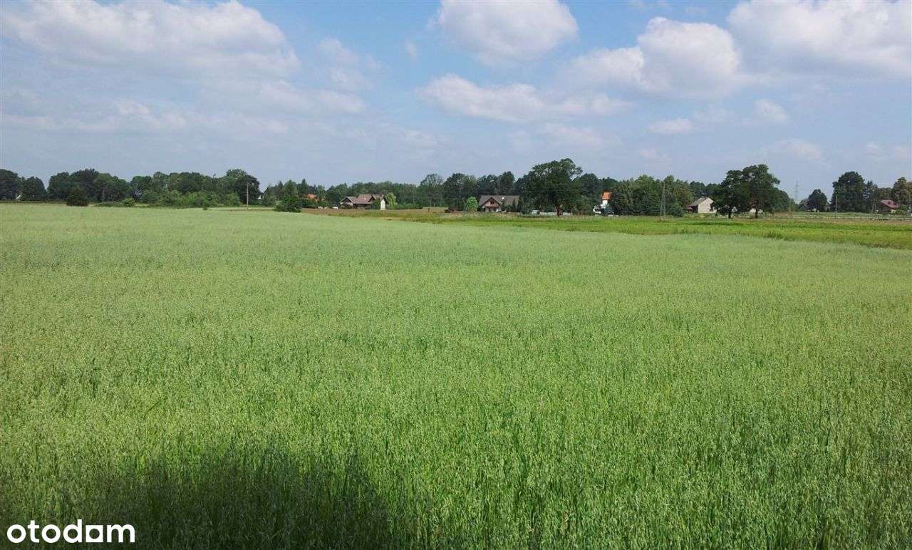 Atrakcyjna działka-8