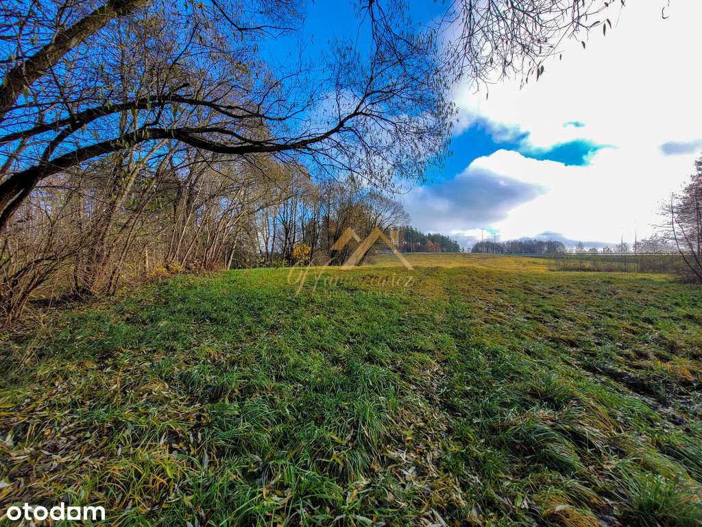 2.95 ha ze świetnym dojazdem - Słobódka-7